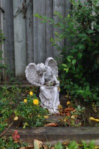 Digitalism Garden Angel with miniature roses