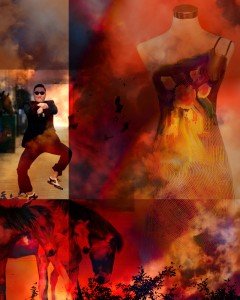 Doing it Gangnam Style by Anuppa Caleekal Digitalism Gallery 2012
