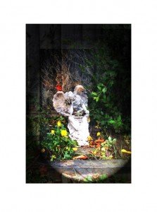 The Angel and the Cardinal Copyright Anuppa Caleekal